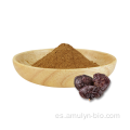 Beta d Glucan Reishi Ganoderma Lucidum Extract Powder